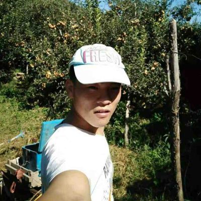 专业安装厨卫