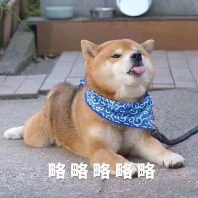 水电