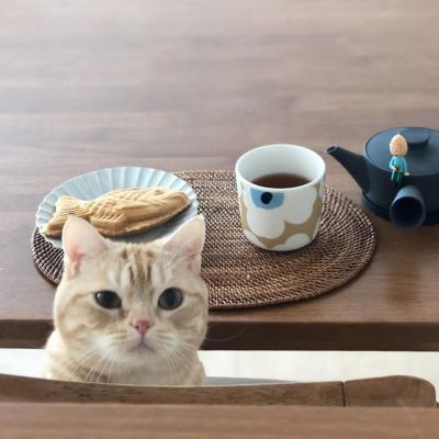 平面设计