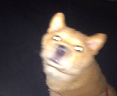 安装阳台晾衣