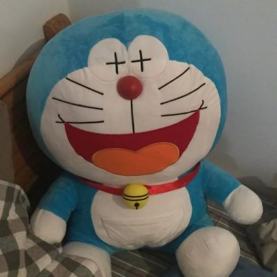 教育机构