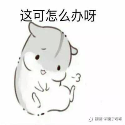 软件开发