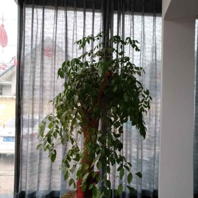 安装窗帘