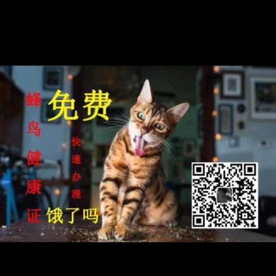 油漆
