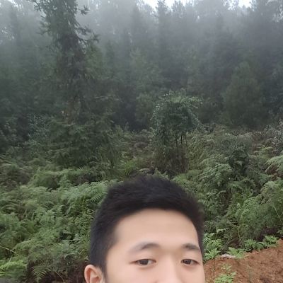 室内装饰木工室内装饰木工