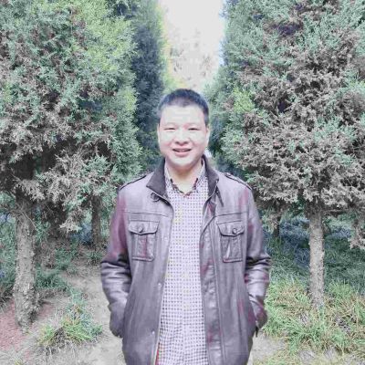 整体家装简易家庭装修