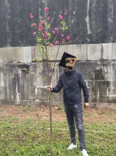 网购家具安装家具安装专业家具安装家具安装维修