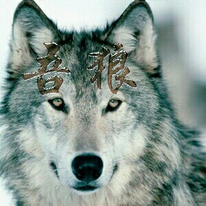 无所不能安装维修