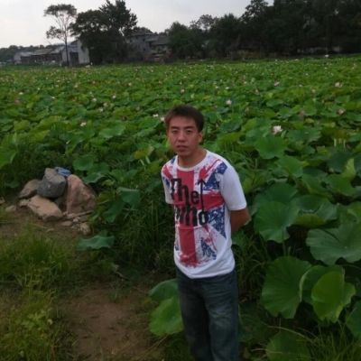贴壁纸壁布贴壁纸壁布