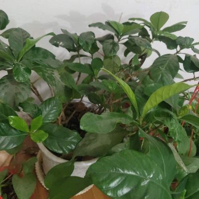 物业管理