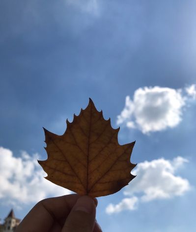 安装洗手盆