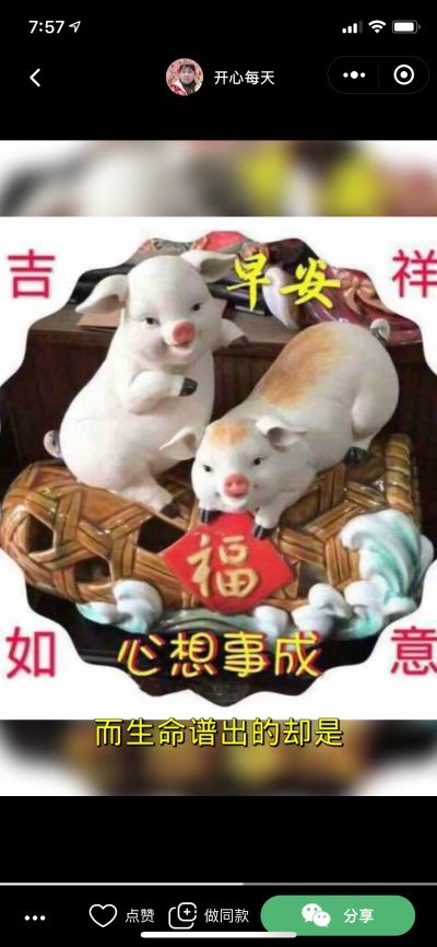 保洁