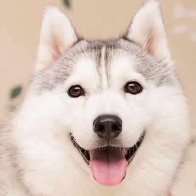 装修