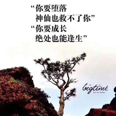 水电厨卫灯具