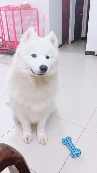 无