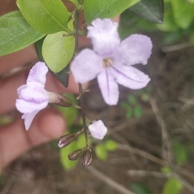 油漆批灰承包