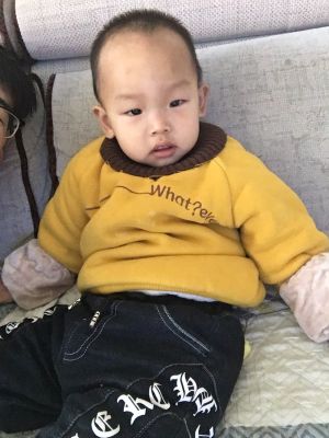 墙纸墙布壁画