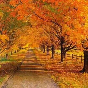 一切杂活搬家搬厂跑腿