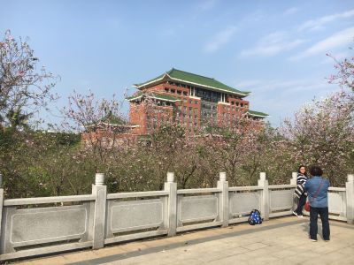门锁