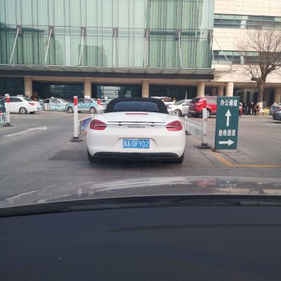 体育教育