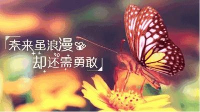 搬运安装