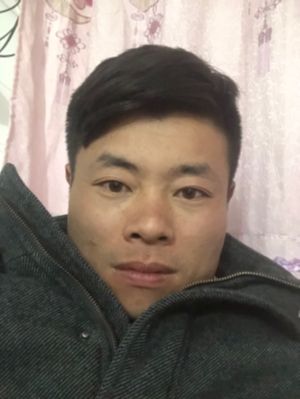 油漆涂料批灰