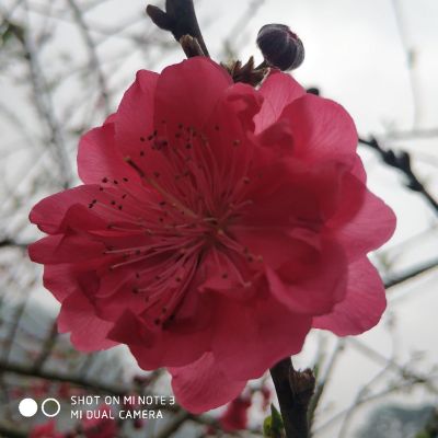 水管安装维修