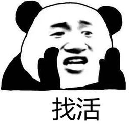 贴砖涂料