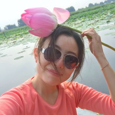 安装