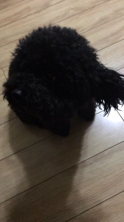 水电安装