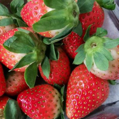 做什么都可以水电空调安装