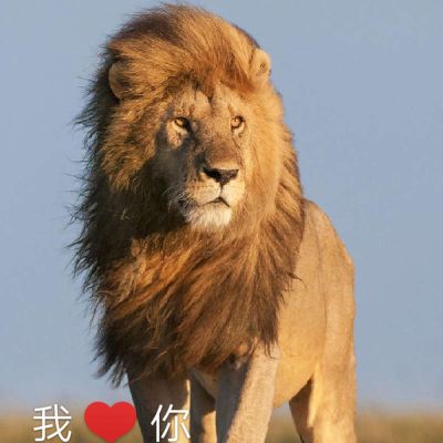 空调安装维修空调保养空调拆装移机