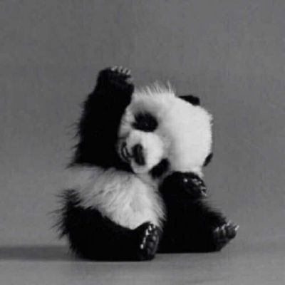 拉篮安装