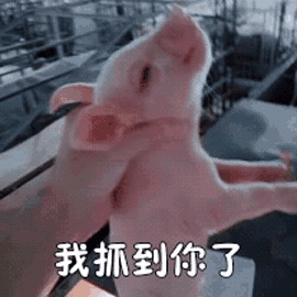 技术