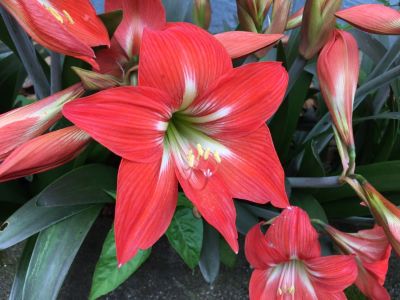 家具水电安装家具水电安装