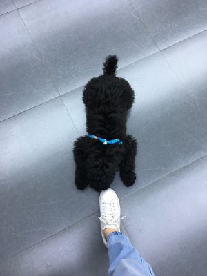 拆装家具
