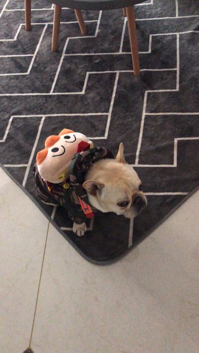 指纹锁