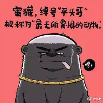 家政