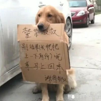 水电安装