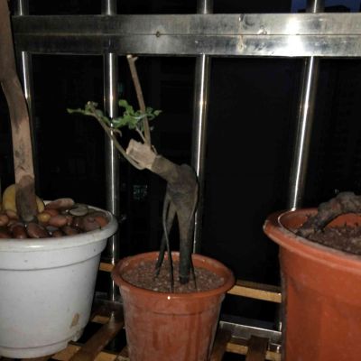水电安装维修水电工