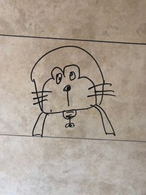 建筑