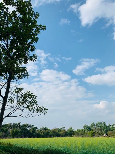 广告