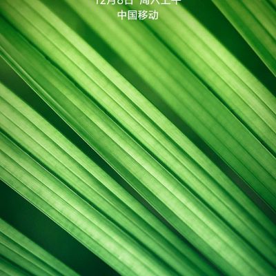 墙纸墙布施工