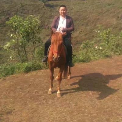 家装装修师傅