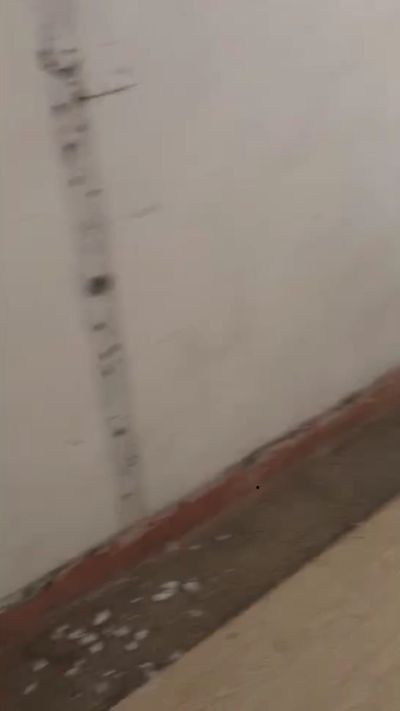 好咯大家