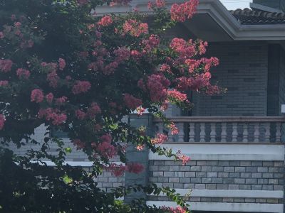 寻安装师傅