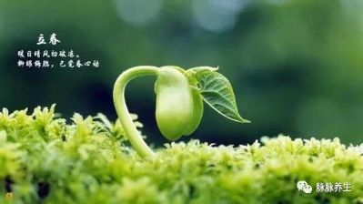装修设计