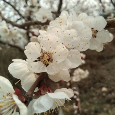 装修维修