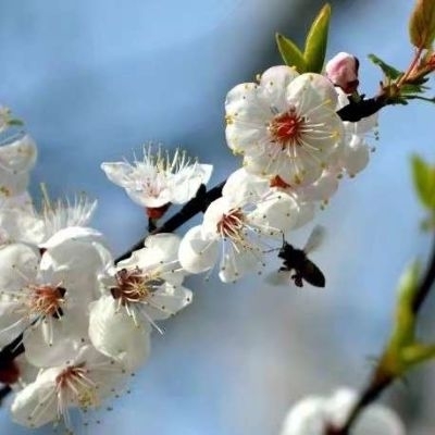 地板安装地板安装