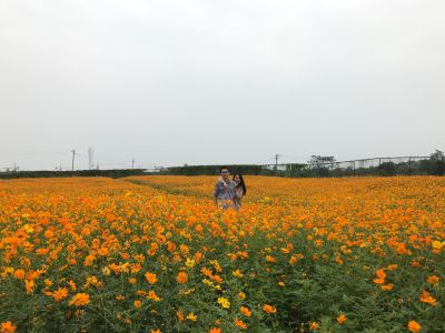 程序员